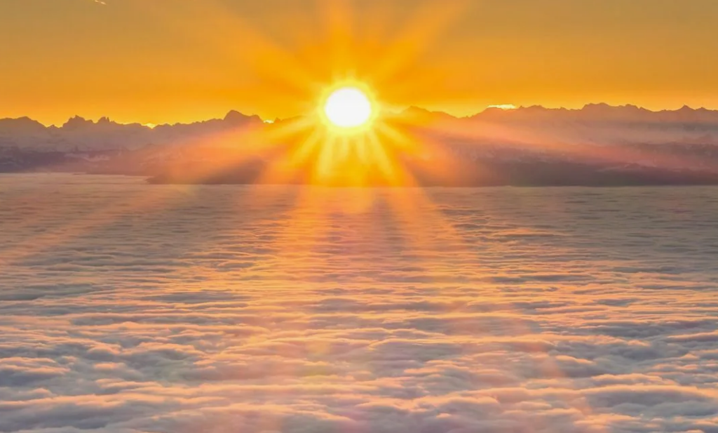 Solarim Trading rising like a sun over the Middle East